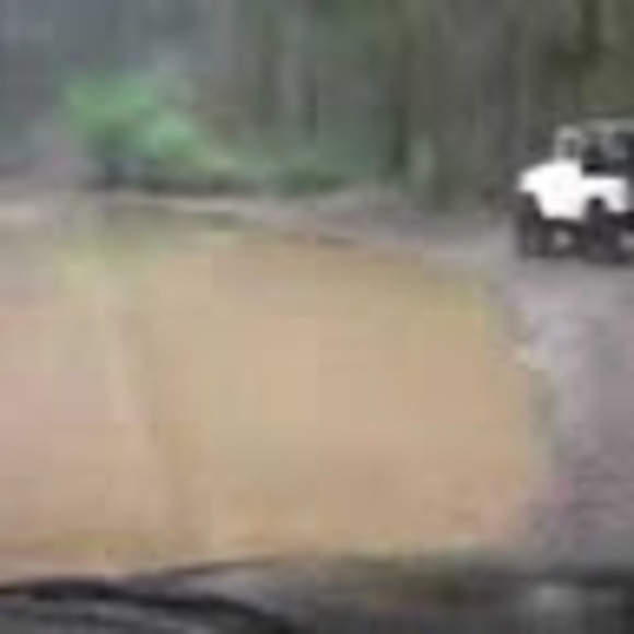 Meet your Posher, Mitchell - Picture 1 of 1